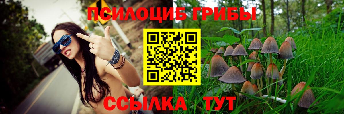 Каменск-Уральский  цены наркотик  Галлюциногенные грибы мицелий  Вход с VPN  Галлюциногенные грибы Magic Shrooms 