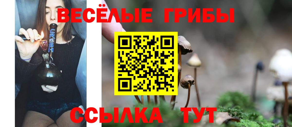 Галлюциногенные грибы Magic Shrooms Каменск-Уральский